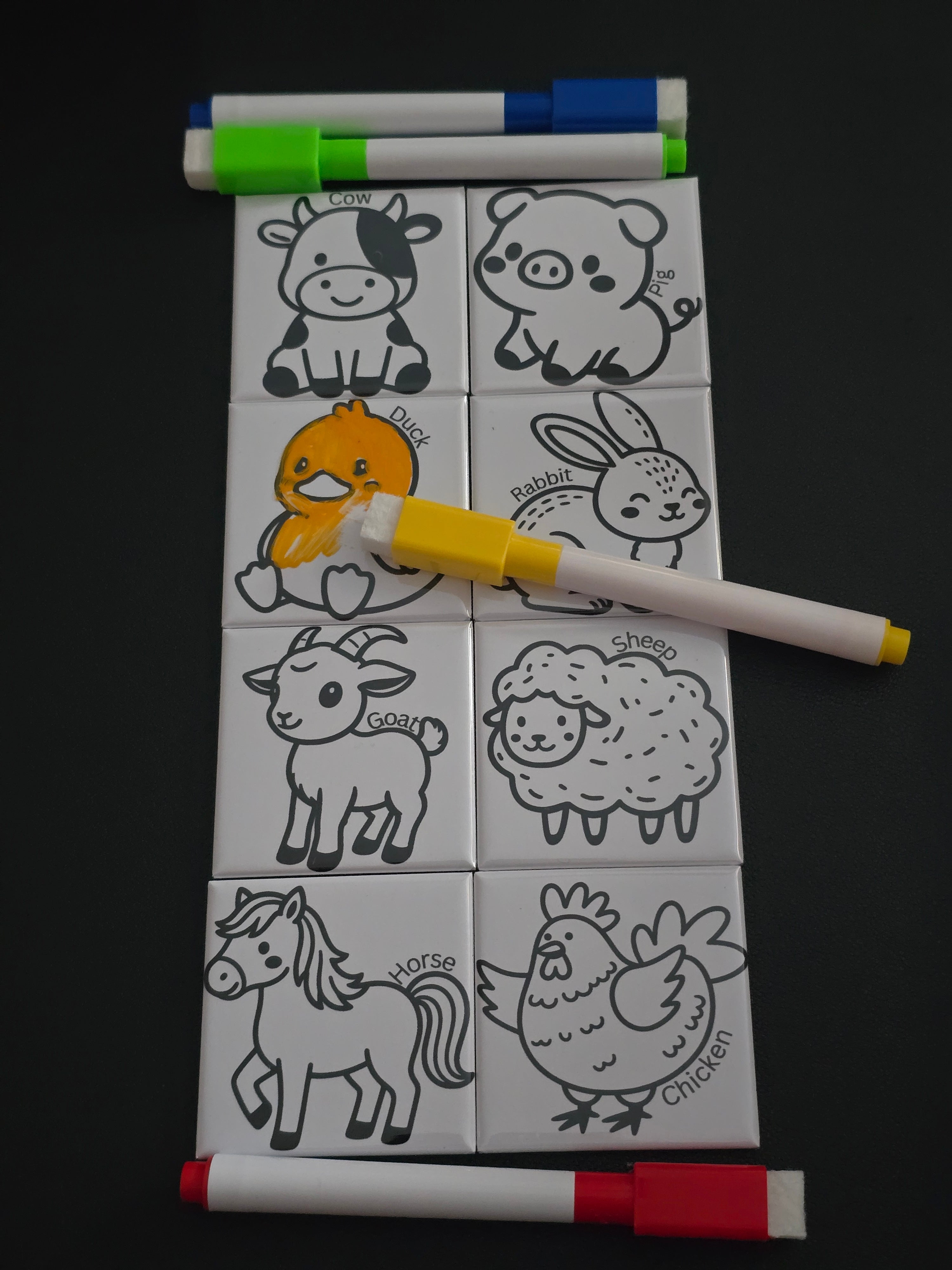 Kids Coloring Magnets